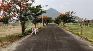 5 Essential Tips for Buying Plots in Tiruvannamalai