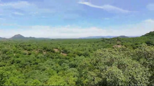 Ponnaiyur Reserved Forest Near Tiruvannamalai: A Hidden Wilderness