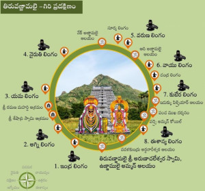 Stories from the Trail: Girivalam Pilgrims Share Inspiring Experiences Around Arunachala Hill