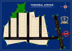 THENDRAL AVENUE